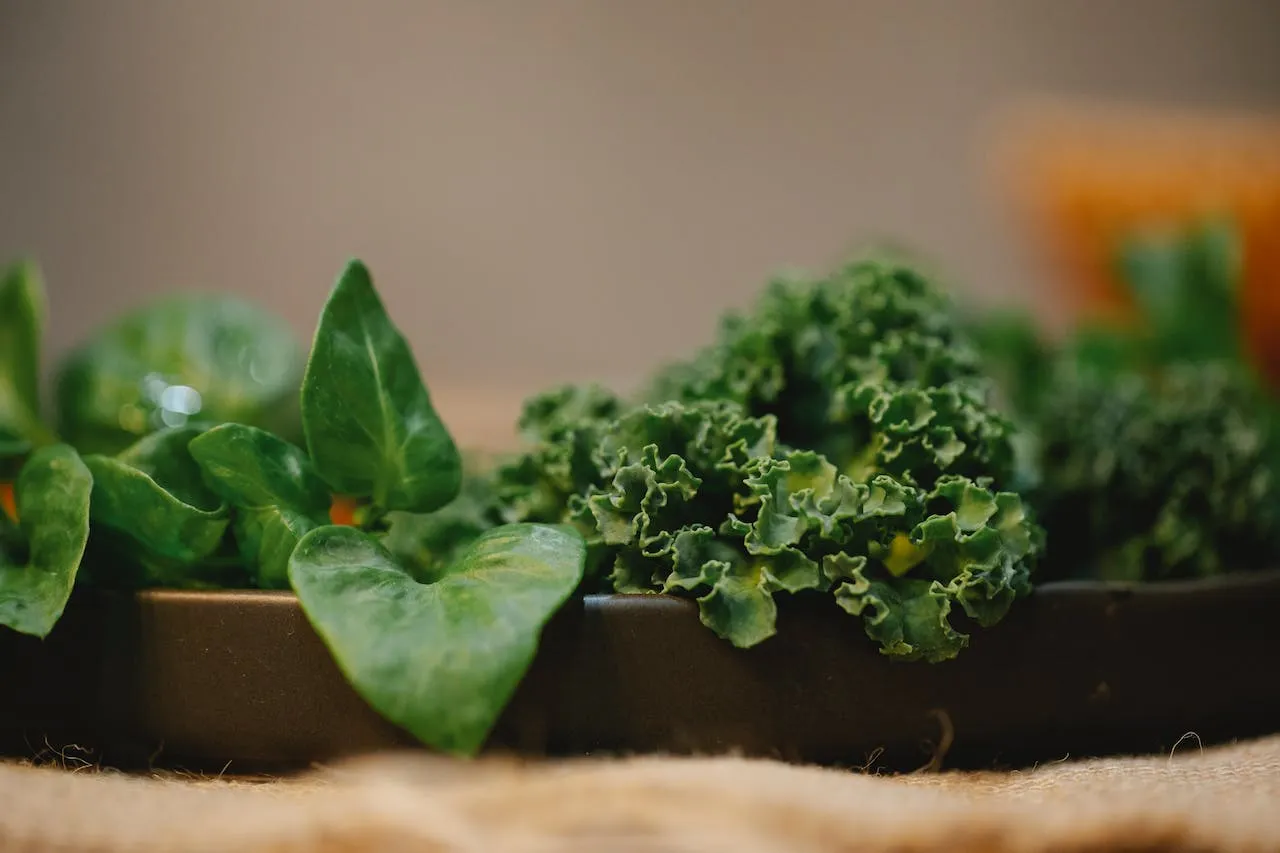 VERDURAS VERDES PARA CONTROLAR EL COLESTEROL 2026 VERDURAS VERDES PARA CONTROLAR EL COLESTEROL